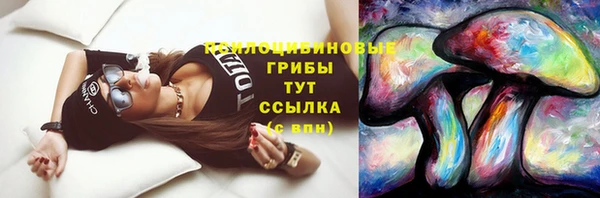 крисы Няндома