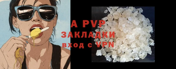 крисы Няндома