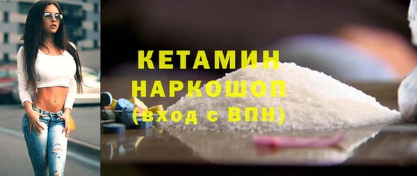 крисы Няндома