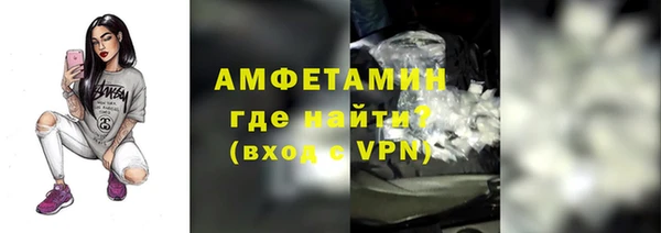 крисы Няндома