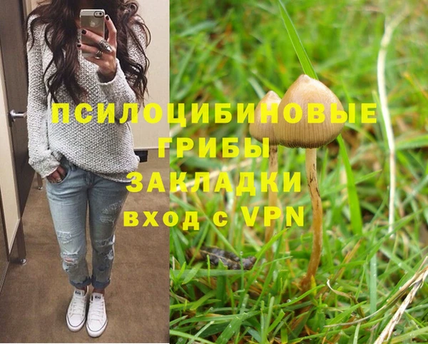 крисы Няндома