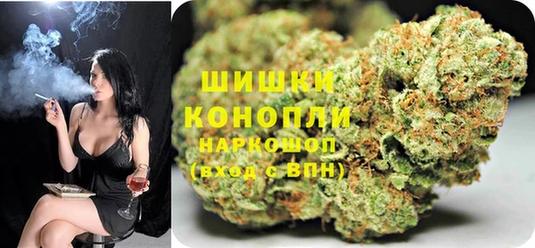 крисы Няндома