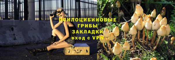 крисы Няндома