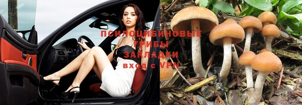 прущая мука Нязепетровск
